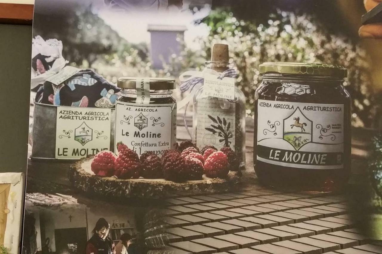 Piccolo Casale A "Le Moline" In Una Vera Fattoria Vetralla Ngoại thất bức ảnh